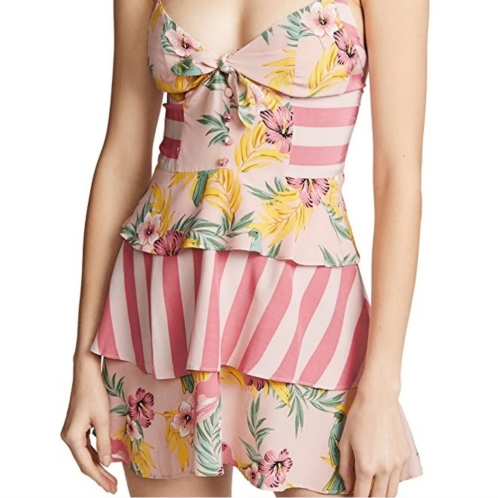 For love and lemons Antigua mini dress